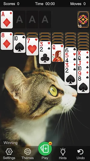 Solitaire - Classic Klondike Card Game Screenshot 1