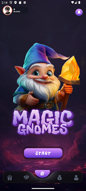Magic Gnomes Screenshot 1