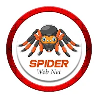 Spider web net
