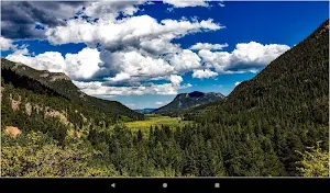 HD Forest Wallpapers Screenshot 3