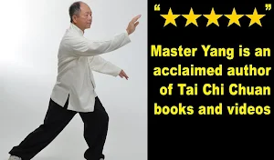 Tai Chi Theory Screenshot 2