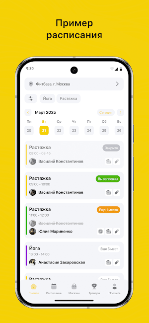 Golden Falcon NSK Screenshot 0