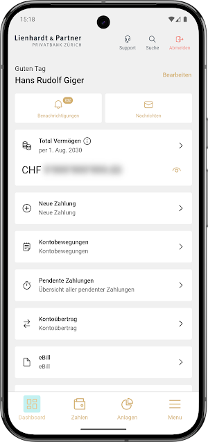 Lienhardt_&_Partner Screenshot 1