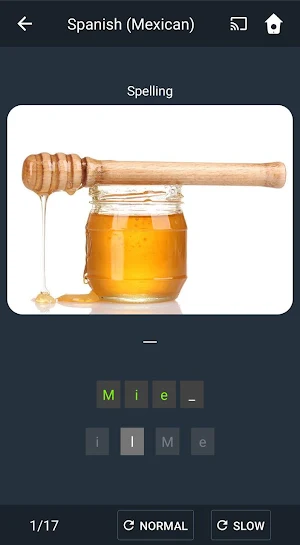 Learn Mexican Spanish. Speak Mexican Spanish. Screenshot 3