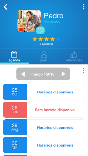 Paraná Serviços Screenshot 2