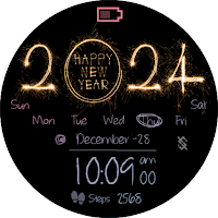 BFF37 - New Year Firework 2024