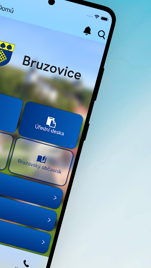 Bruzovice Screenshot 1