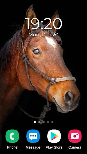 Horse Wallpaper 2023 Screenshot 3