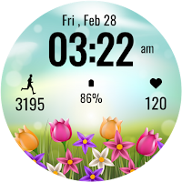 Flower Steps Watch Face