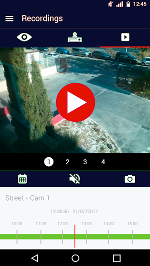 ELECTROSECURE EasyView Screenshot 2