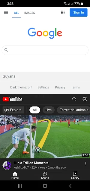 Split Screen Browser Screenshot 3