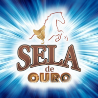 Rádio Sela de Ouro
