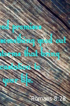 Bible Quotes Screenshot 3