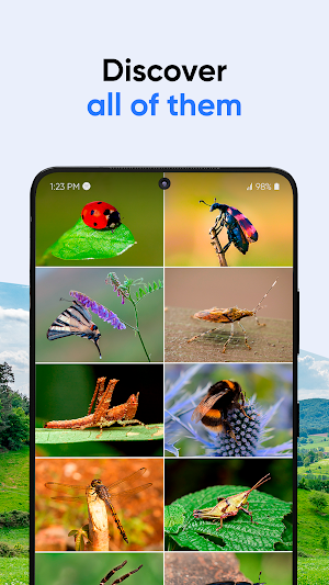 Bug ID: Insect Identifier AI Screenshot 1