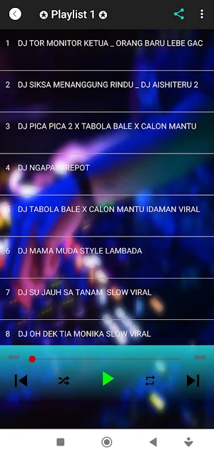 DJ Viral terbaru Offline Screenshot 1