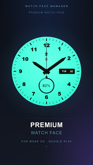 Mint Meridian Watch Face Screenshot 3