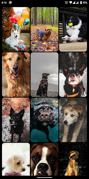 Dog & Puppy HD Wallpapers Screenshot 1