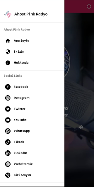 Ahost Pink Radyo Screenshot 2