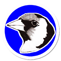 CoronaSilvestres-Tienda Online