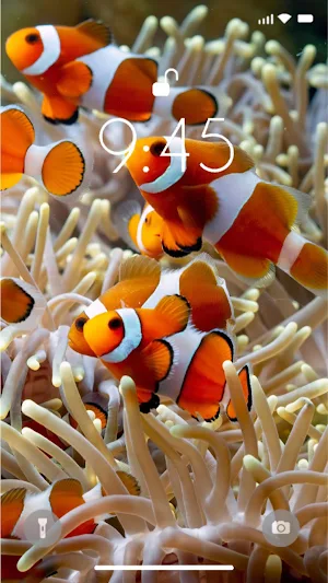 Fish Wallpaper 2024 Screenshot 1