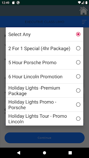 Executive Class Limo Screenshot 3