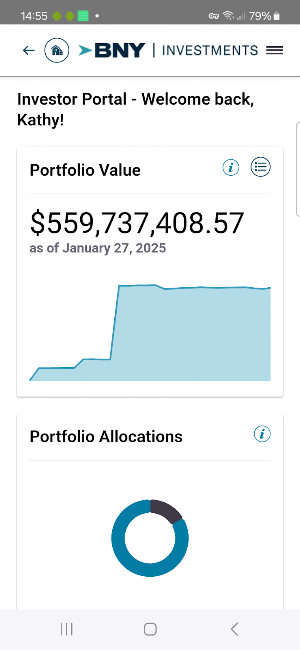 BNY Investments Mutual Funds Screenshot 0