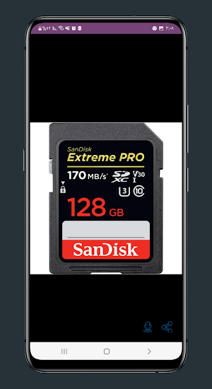 sandisk extreme pro guide Screenshot 2
