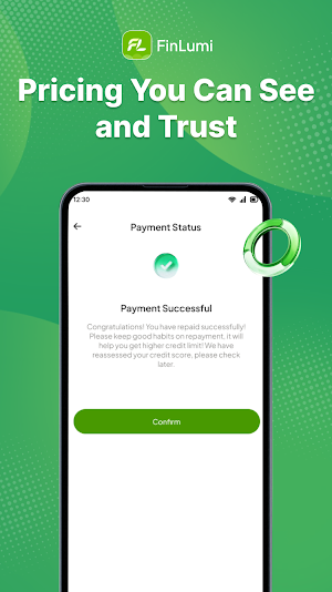 FinLumi - Credit Assistant Screenshot 2