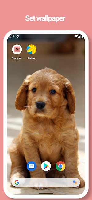Puppy, Dog Wallpapers - Picture, Movie Screenshot 3