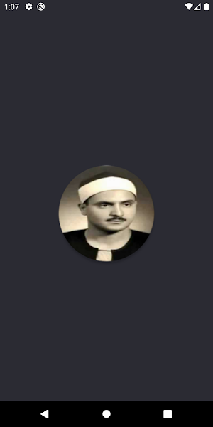 AlMinshawi Holy Quran Offline Screenshot 0