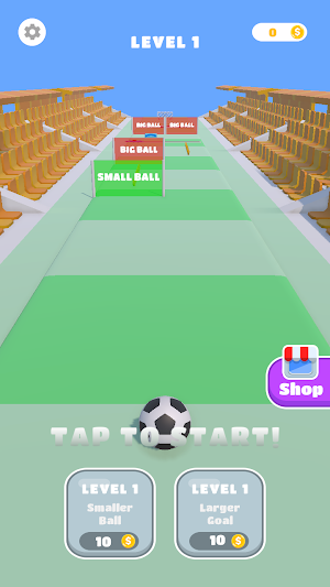 Soccer Ball Run Screenshot 0