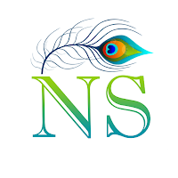 NS FIBER