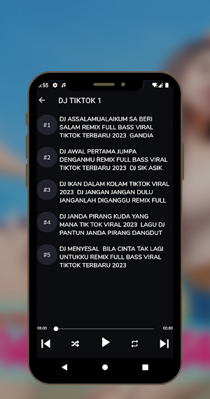 DJ JANDA PIRANG VIRAL OFFLINE Screenshot 1