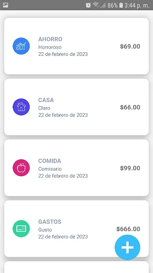 Rokave Control de Gastos Screenshot 3