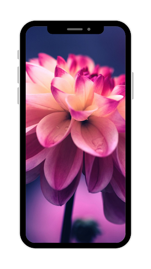 Flower Wallpaper Screenshot 0