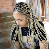 African Hair Braiding Styles