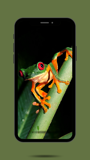 Frog Ringtone Sound Screenshot 0