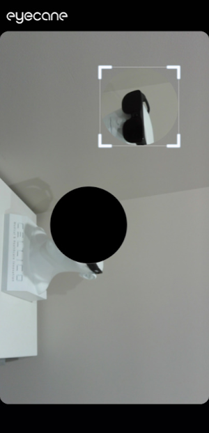 eyecane Screenshot 1