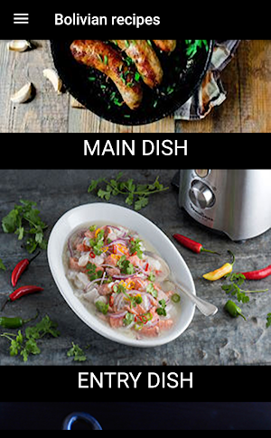 Bolivian Food Recipes + Easy a Screenshot 1