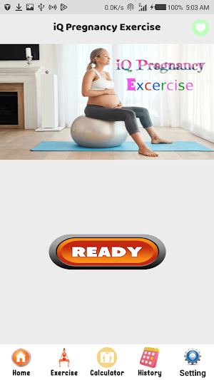 iQ Pregnancy Exercise Screenshot 0