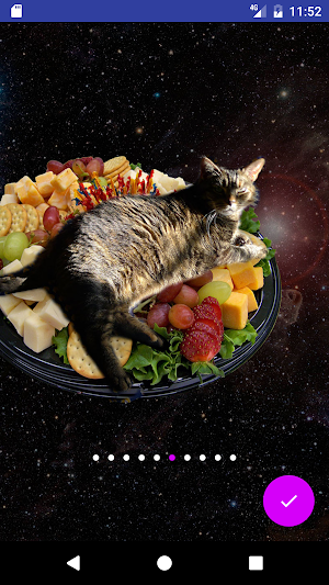 Cats In Space HD Wallpapers Screenshot 2