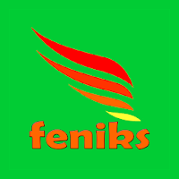 Feniks Taxi Bytom