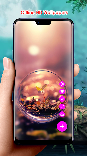 Offline HD Wallpapers Screenshot 1