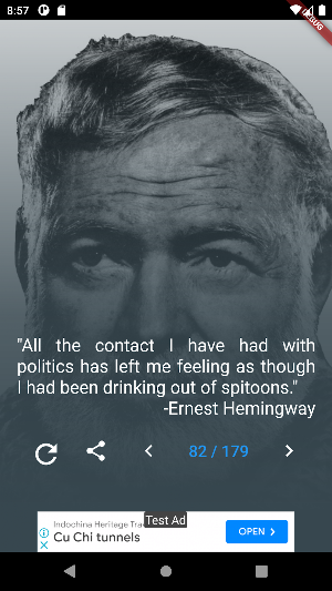 Ernest Hemingway Quotes Screenshot 2