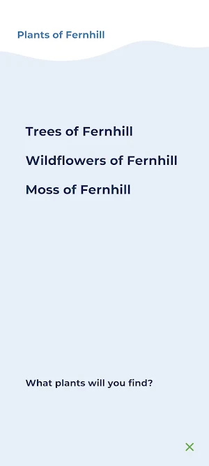 Fernhill Park Experience Screenshot 3