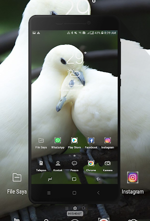 Dove Wallpaper Screenshot 3