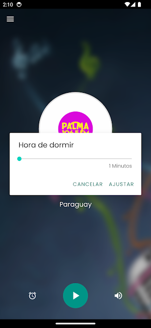 Radio Palma 106.5 FM Paraguay Screenshot 2