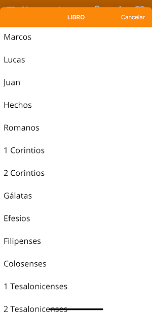 NVI Castellano Screenshot 3