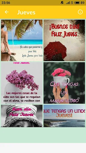 Saludos Días de la Semana Screenshot 3