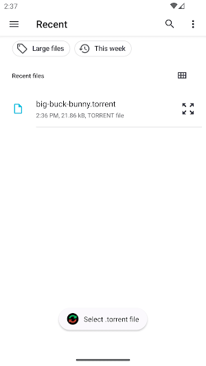 Torrent Magnet Converter Screenshot 1